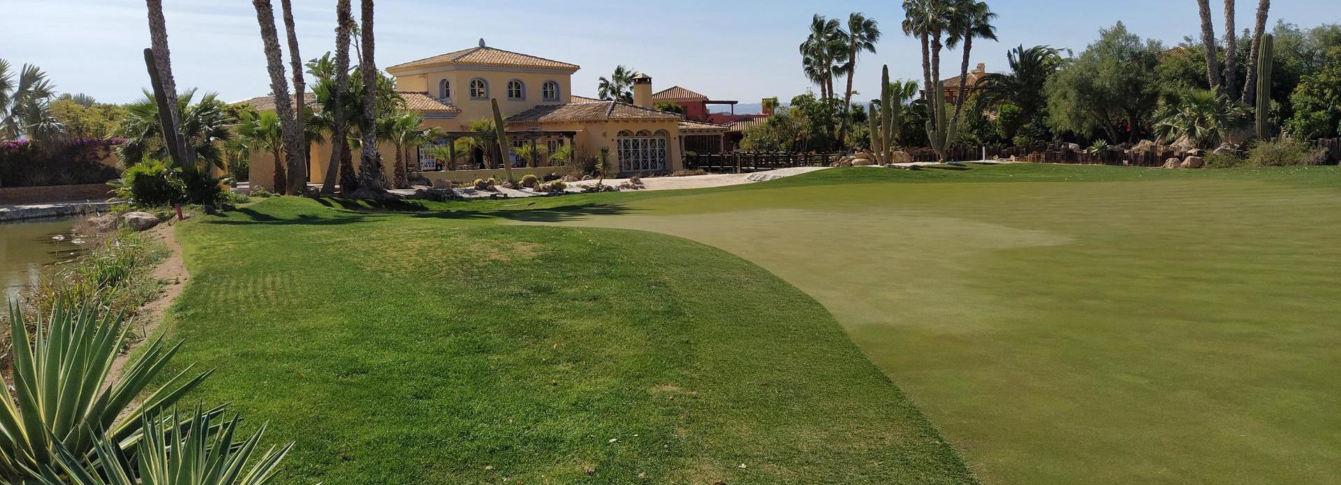 Desert Springs