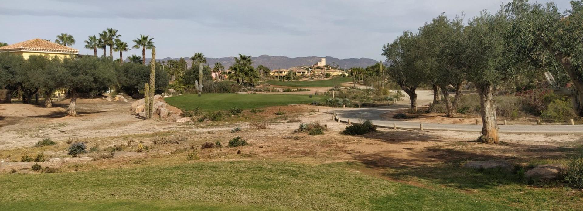 Desert Springs
